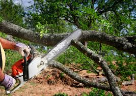 Best Aeration Services  in Bellevue, WA